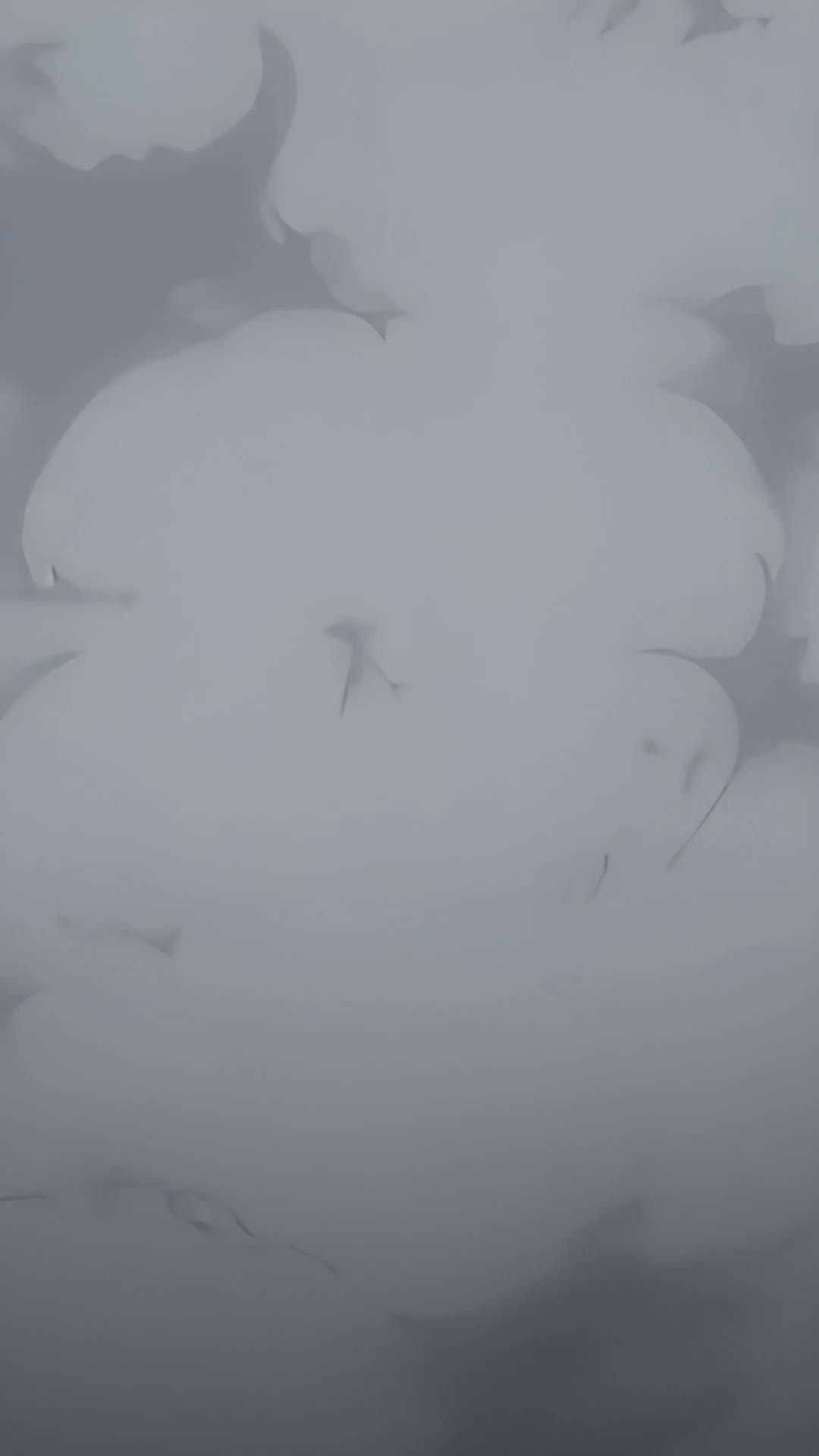 Oops! My Vegetable Alpha is Awake