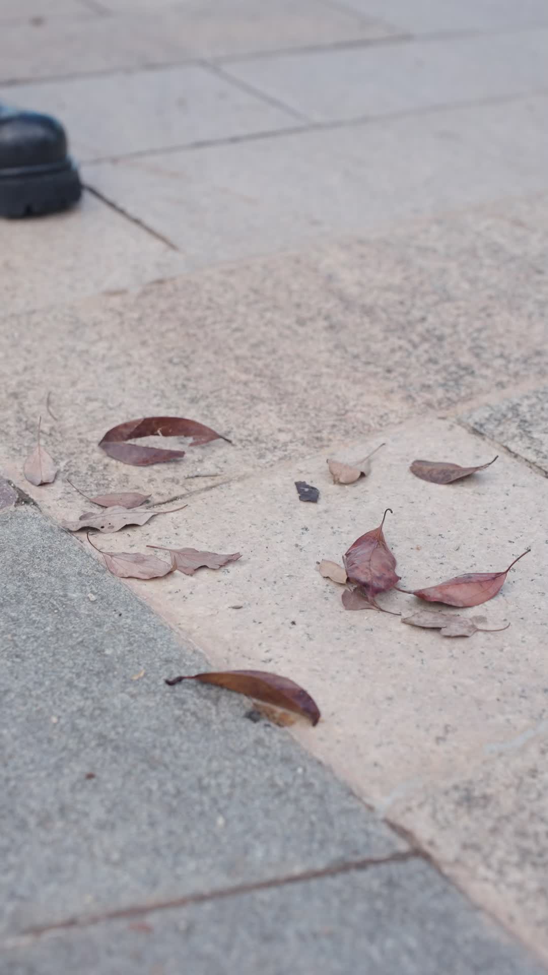 After I Left, My Parallel World Husband Regretted It
