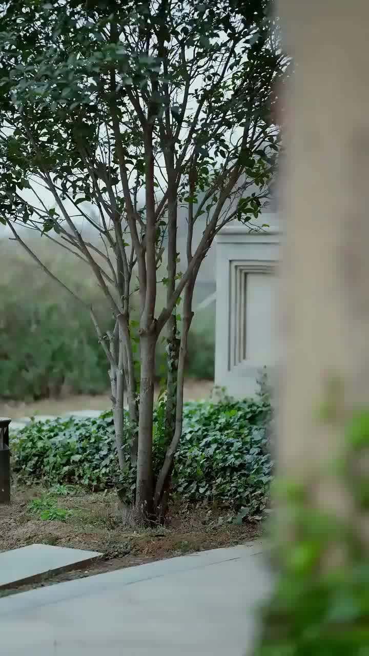 The Day I Died: Seven Days to Revenge
