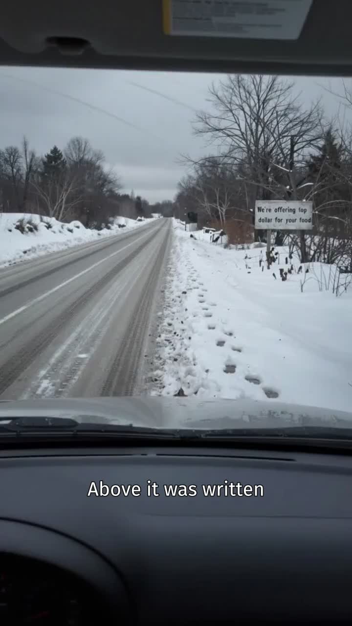 Back to Survive in the Frozen Apocalypse