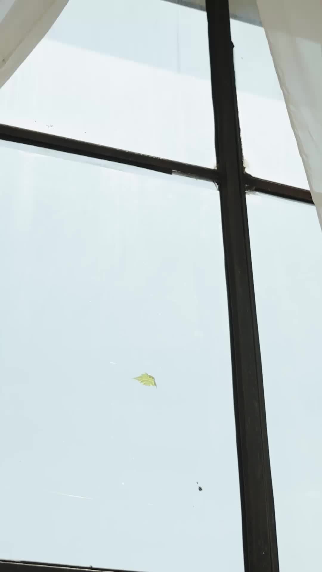 Die Wiedergeburt der Milliardärstochter