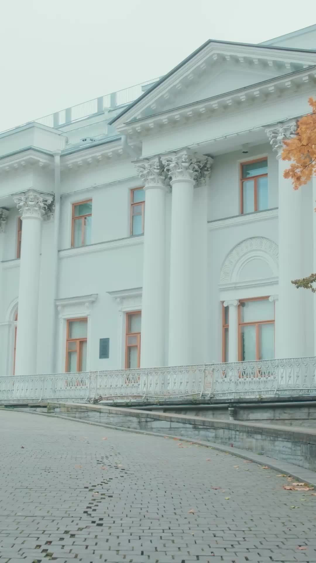 The CEO's Maid Turns Out To Be The Heiress