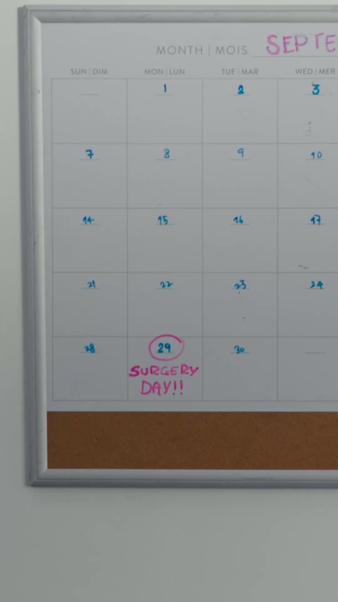 The Last 14 Days