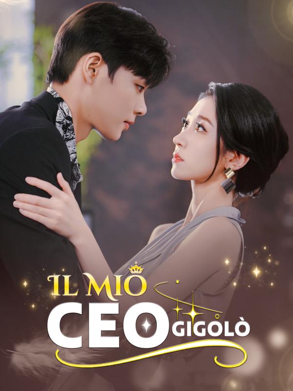 Il Mio CEO Gigolò