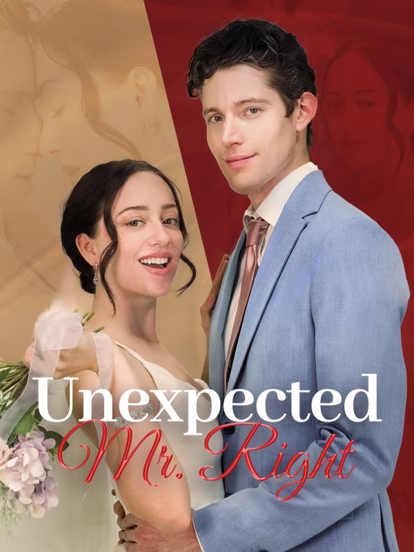Unexpected Mr. Right