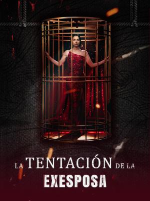 La Tentación de la Exesposa