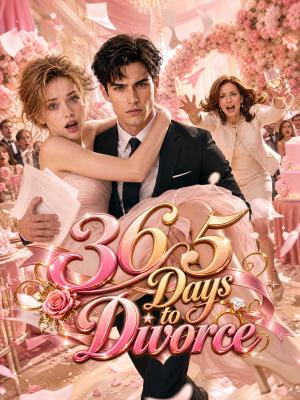 365 Days to Divorce
