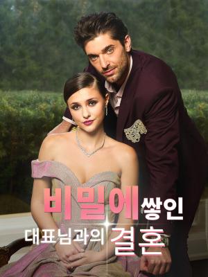 비밀에 쌓인 대표님과의 결혼