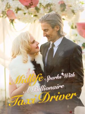 Midlife Sparks with a Billionaire Taxi Driver