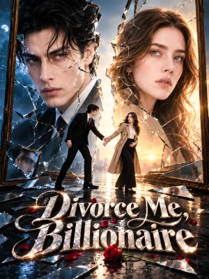 Divorce Me, Billionaire