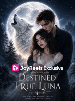 图片，JoyReels